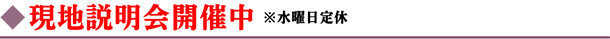 現地説明会開催中 ※水曜日定休